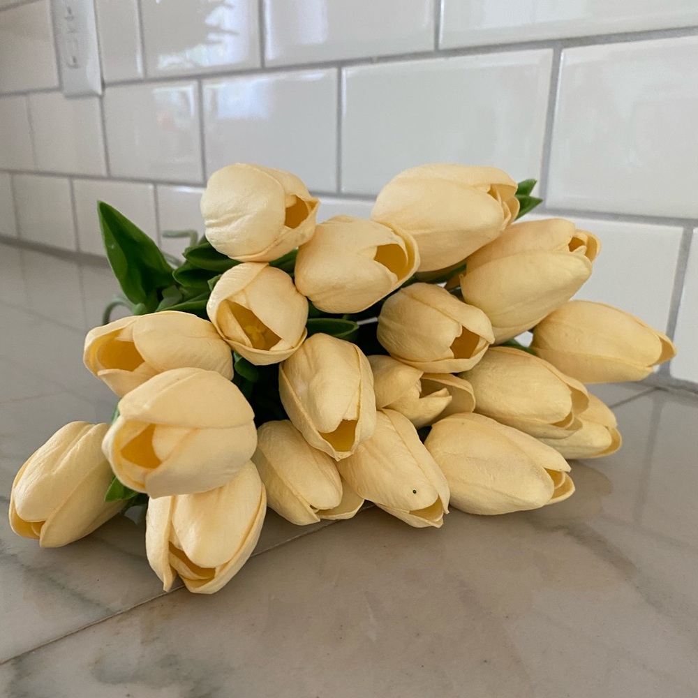 Amazon • 20 Cream Tulips